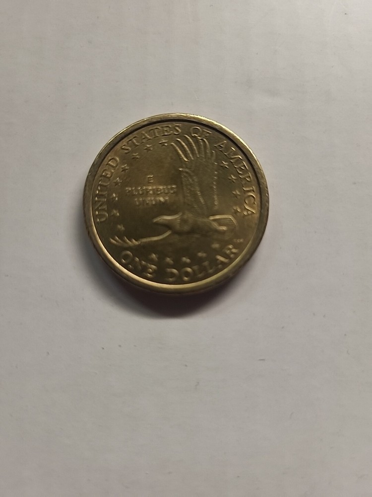 2000 P Sacagawea Rare Dollar Coin