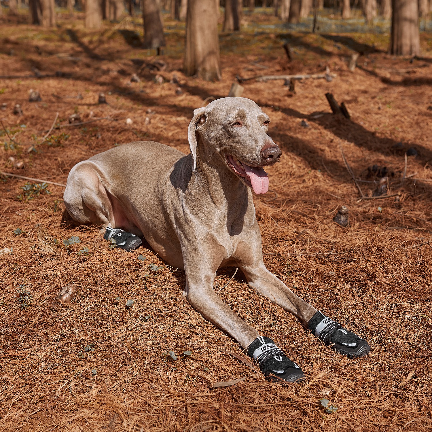 4Pcs Mesh Dog Shoes Boots Paw Protector W/ Reflective Anti-slip 3XS-2XL