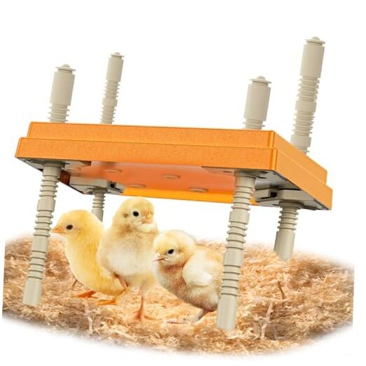 Brooder Plate with Adjustable Temperature & Height,10" x 10" Chick Heat Plate