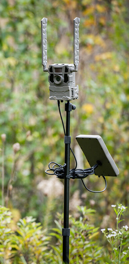 TACTACAM Adjustable Camera Stake