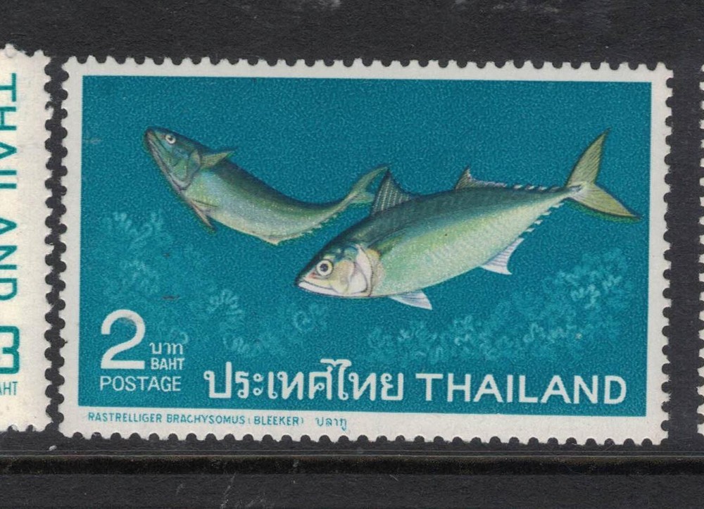 Thailand Fish SC 465 MOG (1fcb)