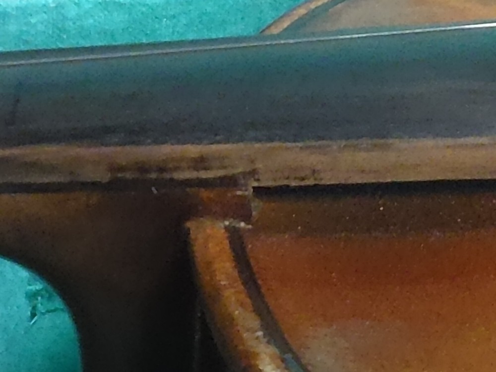 Guldan The Guldan 4/4 Violin