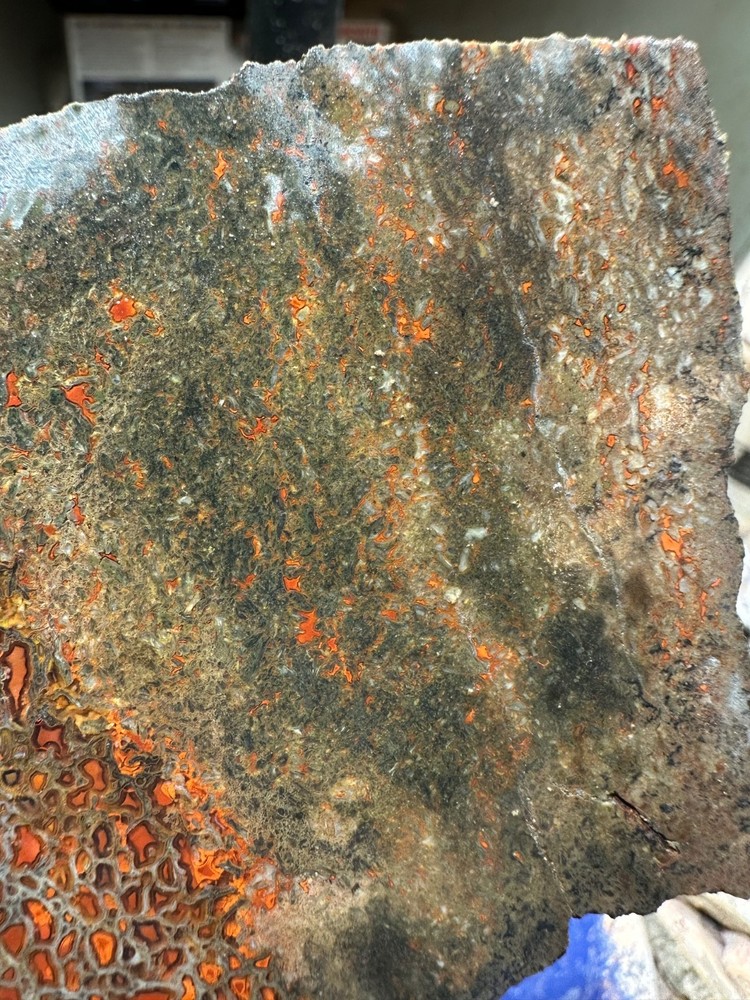 Dinosaur bone rough chunk. (344.7 grams)