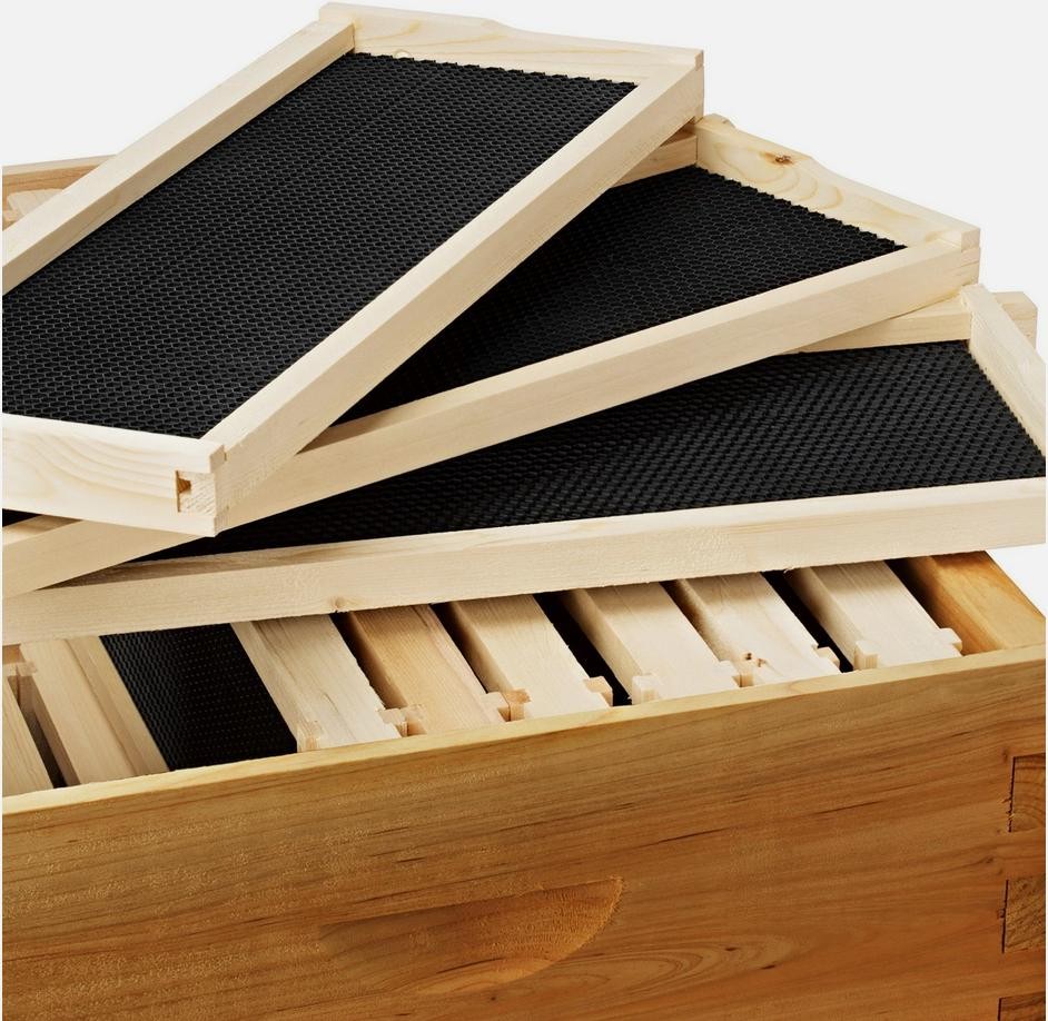 1 Layer Beehive Super Box Wax Langstroth Deep House + 10 Frames Beekeeping