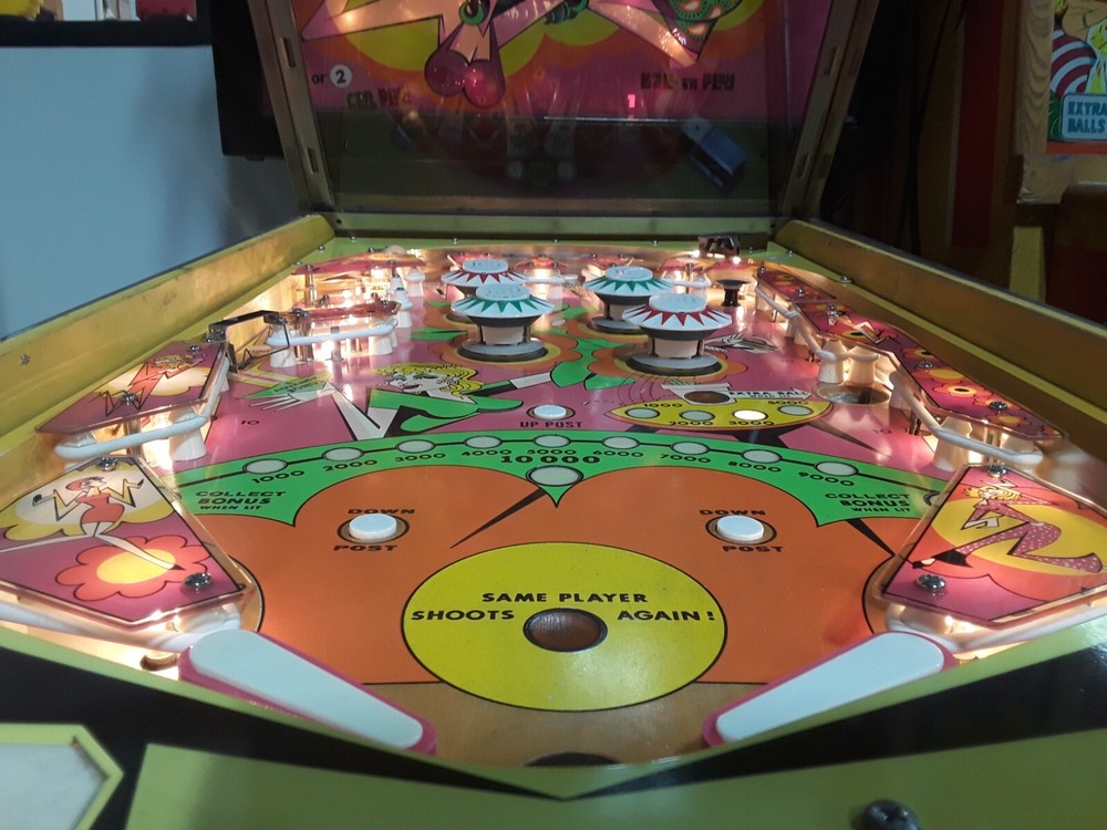 Zip-A-Doo Pinball Machine by Bally