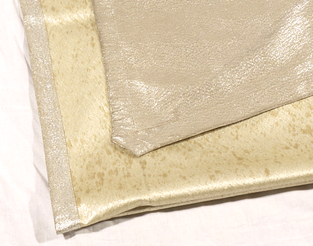 PRL) TELO DIFFUSORE LUCE SOFTBOX 100x210 cm STUDIO FOTOGRAFICO STRIP DIFFUSER