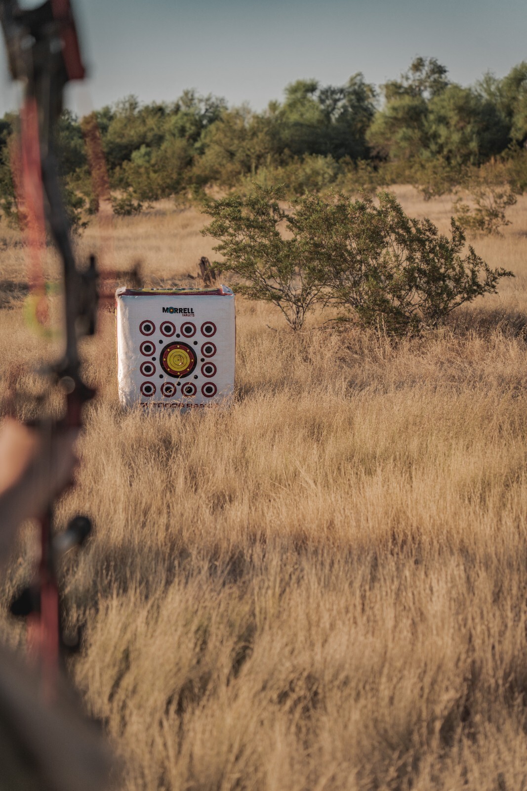 Morrell Outdoor Range Archery Target Pro Staff Official