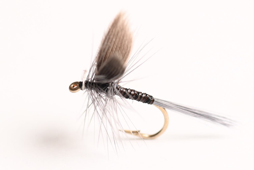 Blue Quill Dry Fly