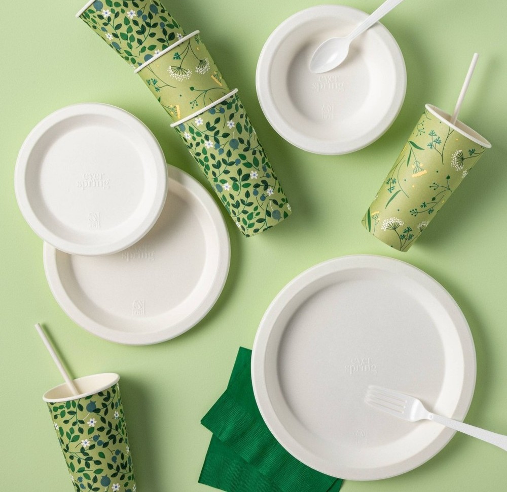 Disposable Cold Cups - 20ct/20oz - Everspring