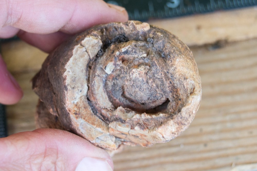 NE Oklahoma Folded Rock or Fossil
