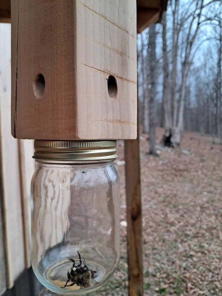 Handmade bee trap (2) minimum order for free shipping