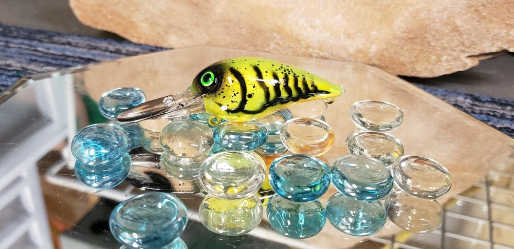 custom painted Wiggle wart crankbait (CRAW)