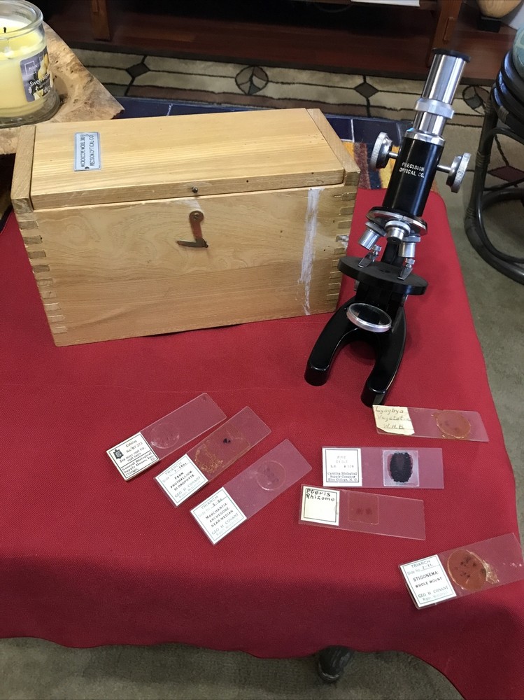 Vintage Precision Optical Co. Microscope  model 300 P With Box & Slides Wow Nice