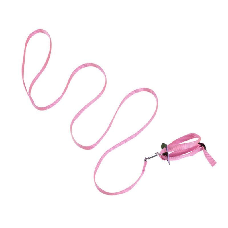 Adjustable Bird Harness 4 ft Long Leash Outdoor Flying Training Rope 8-Shape
