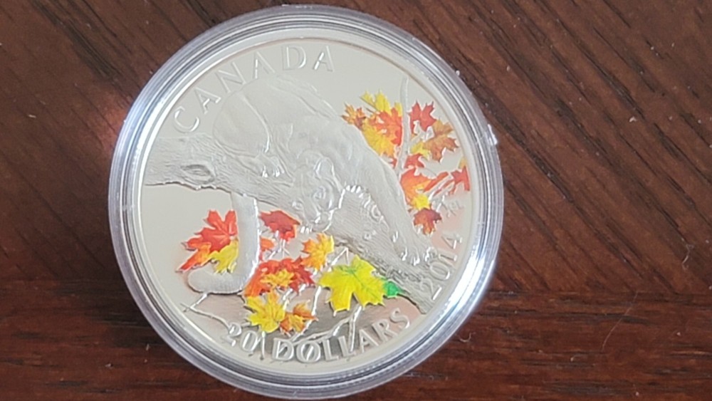 2014 RCM Cougar Set In Case