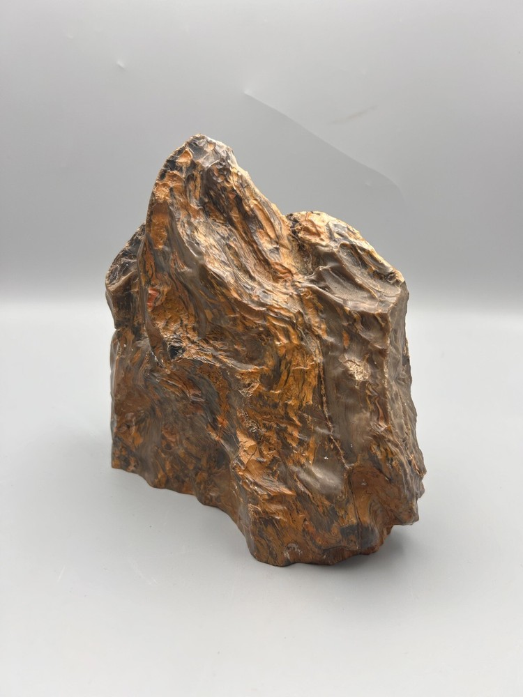 5lb Agatized Petrified Wood Nice specimen