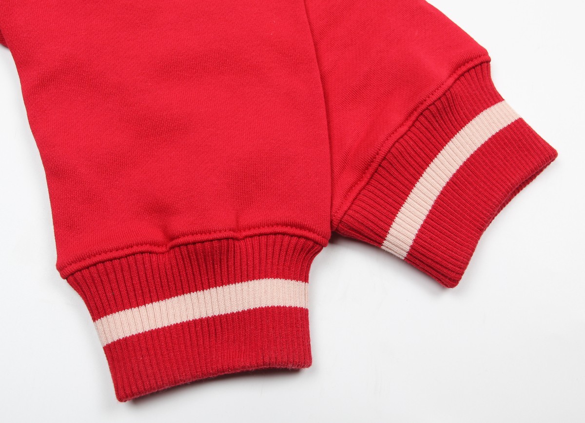 Disney Disneyland Resort Embroidered Castle Pullover Sweatshirt