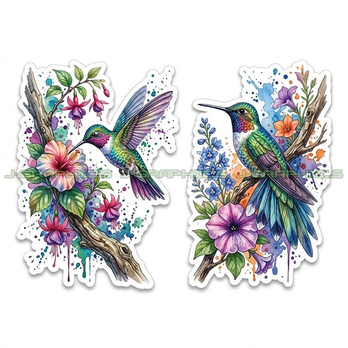 Hummingbird Bird Vinyl Decal Sticker 2 Pack H
