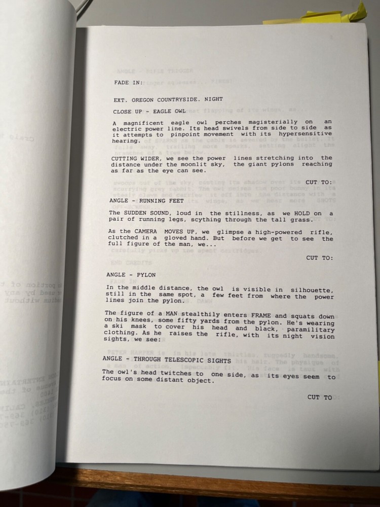 SOFTKILL original action feature film script