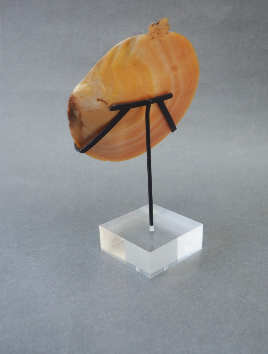 BEAUTIFUL OLD MOUNTED OCEANIC NEW BRITAIN PAPUA NEW GUINEA ARAWE CURRENCY SHELL