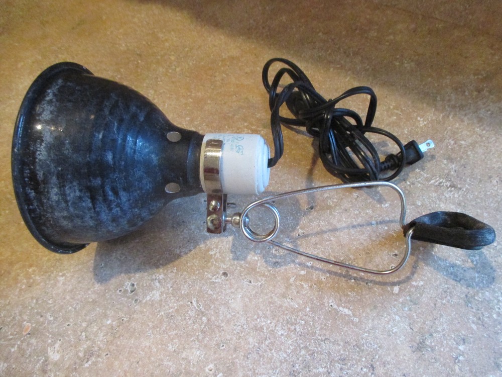 Type A Lamp 75W 5" diam Clamped