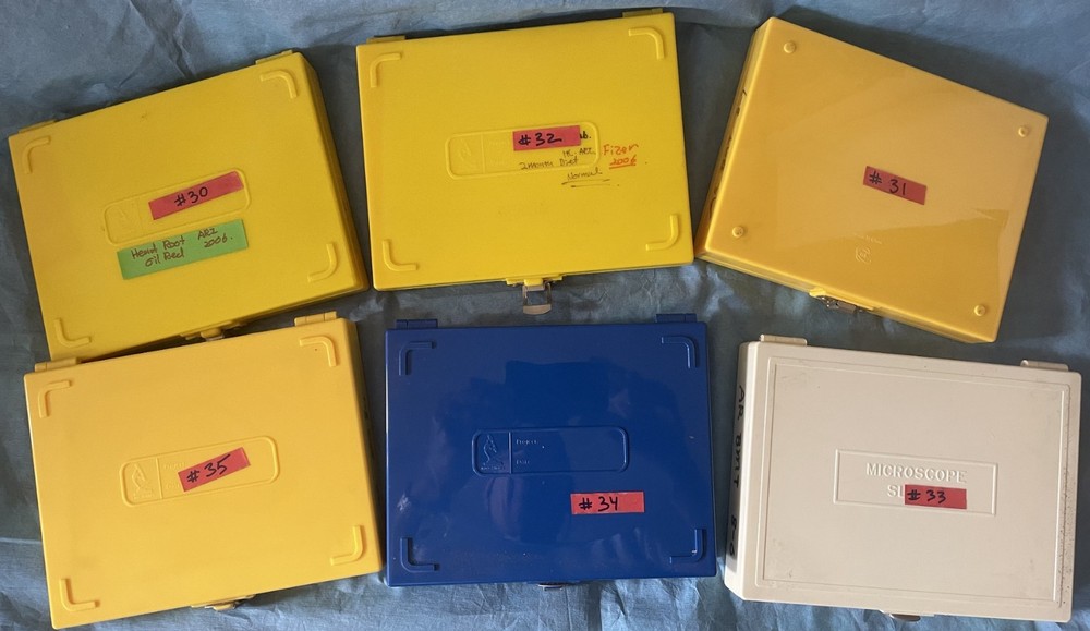 Six Microscope storage boxes with  mouse tissues slides, 30,31,32,33,34,35