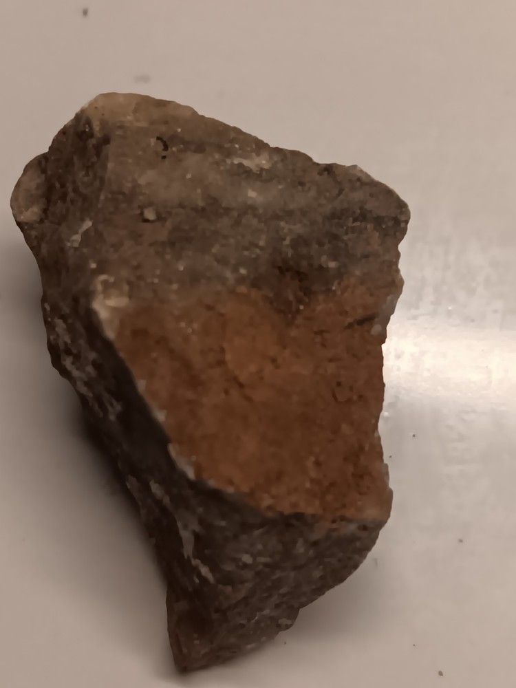 Nevada Gold Ore Sample (39  Grams Total)