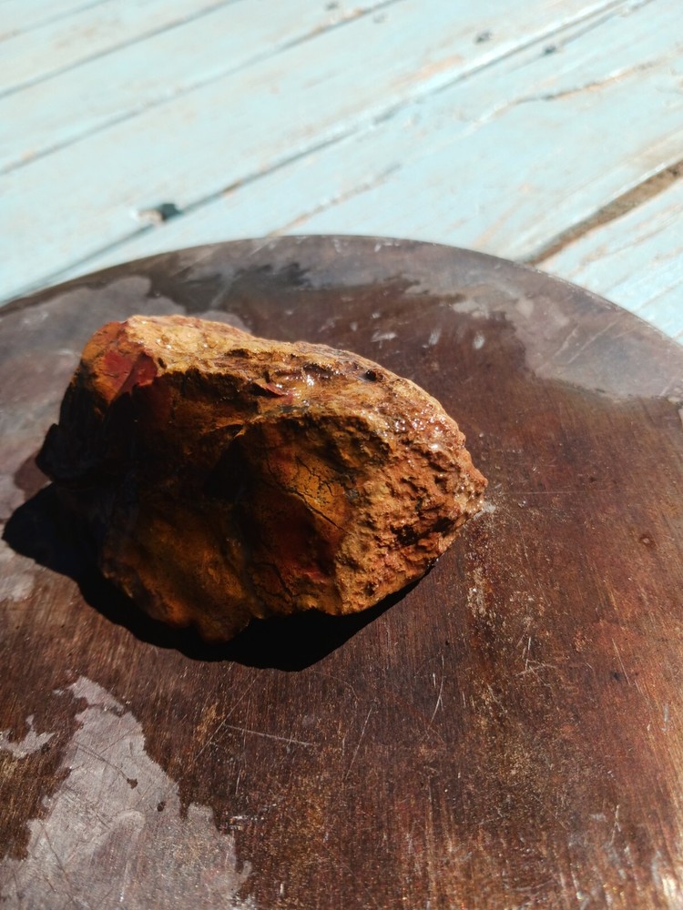 Jasper Agate With Silicized Veinlets Throughout Specimen Red Yellow Jasper