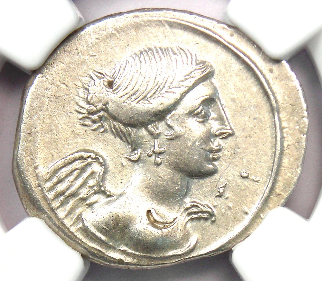 Augustus AR Denarius Silver Octavian Roman Coin 31 BC - Certified NGC XF (EF)