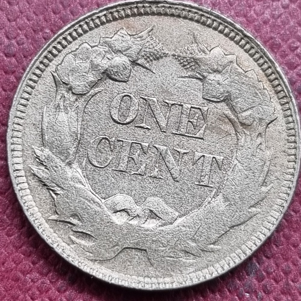 1857 Flying Eagle Cent 1c ERROR STRUCK THROUGH GREASE High Grade #84317