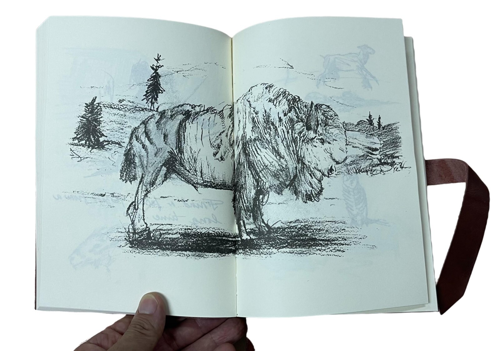 ARTHUR JOURNAL Cowhide Leather Book MORGAN 661 Pages Diary Memorabilia