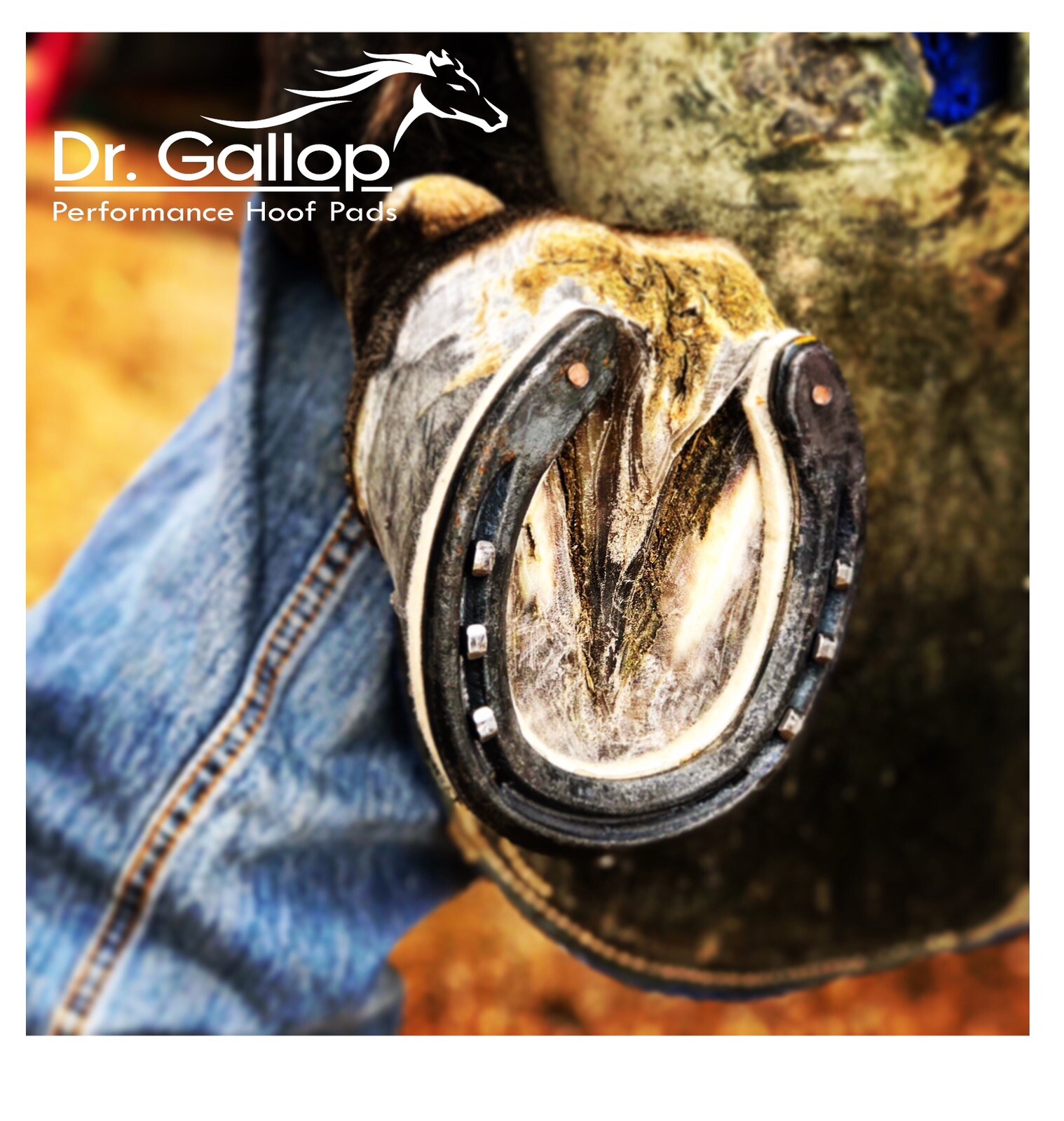 Horse Shoe Felt Pads