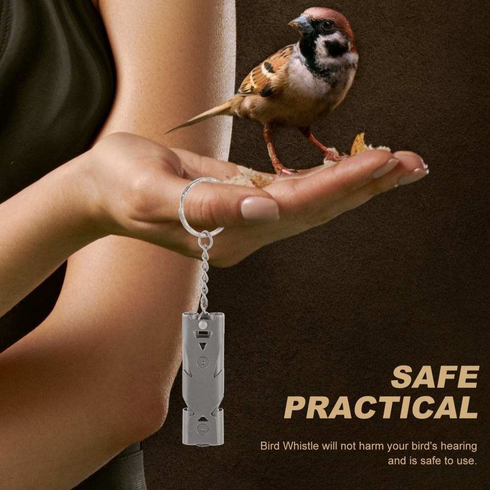 Birdcage Accessories Accessory Pigeon Training Equipment for Parakeets