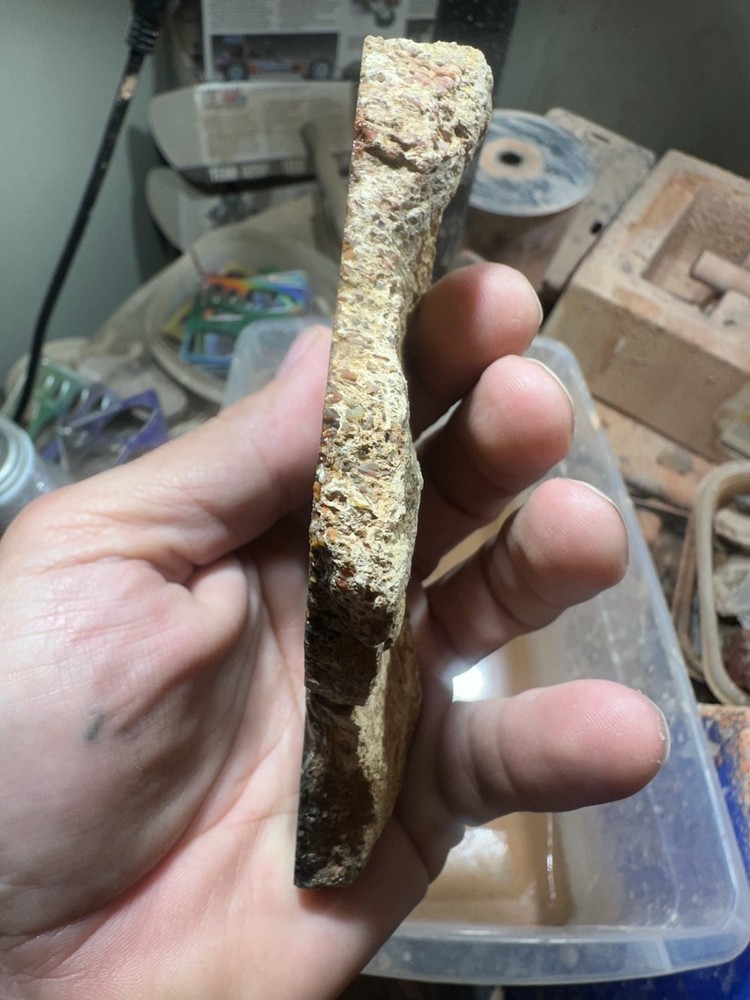 Dinosaur bone rough **hxtled end cut.