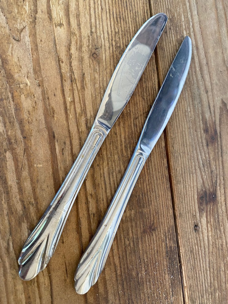 2 Modern Solid Dinner Knives Stainless Rose Hampton Silversmiths 199 8 3/4"