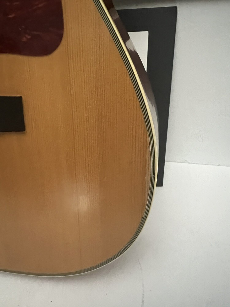 Ibanez AW, AC-100 Acustic Guitar