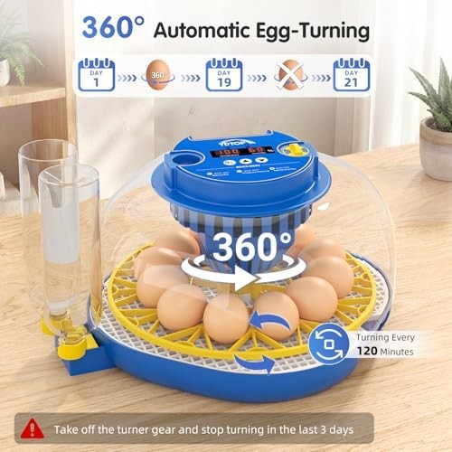 12 Egg Incubator for Hatching - Automatic Turning, Humidity Control, 360° View,