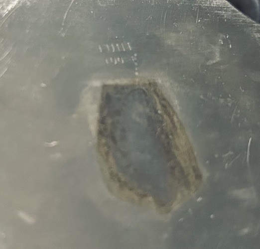 Beautiful Etched Silver Covered Dish, Lunt