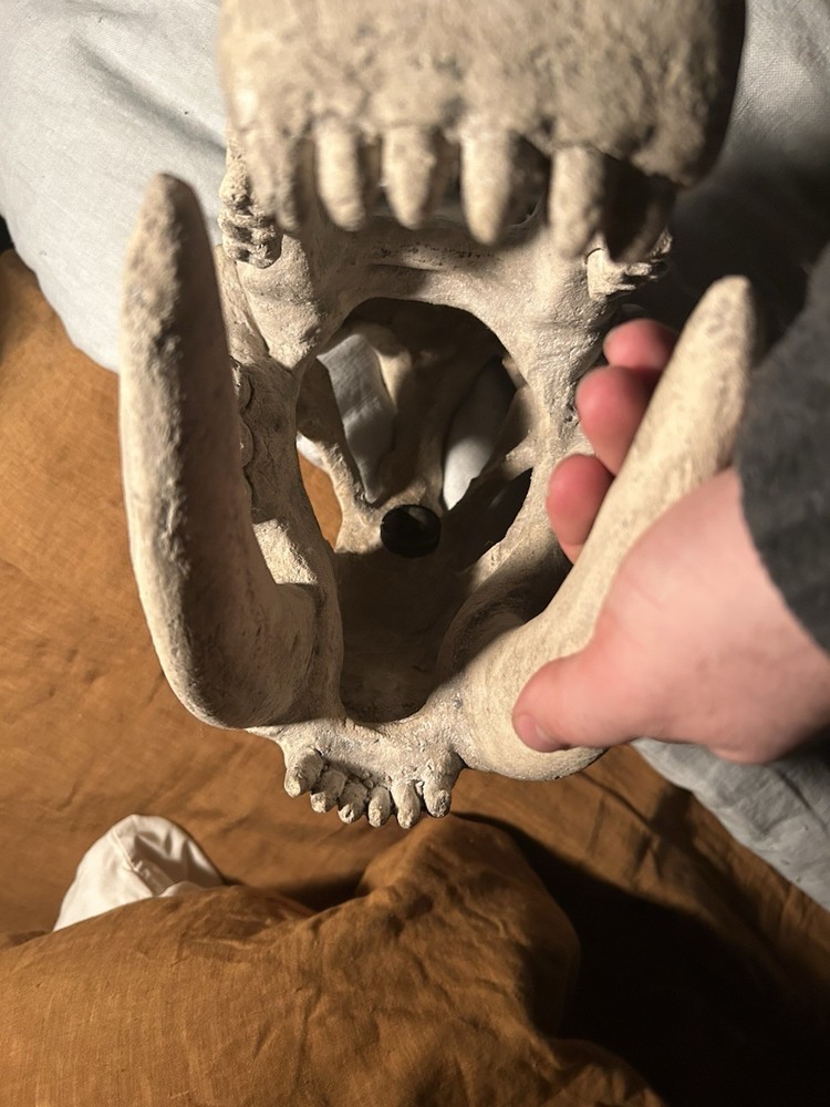 Design Toscano Saber Tooth Tiger Skull