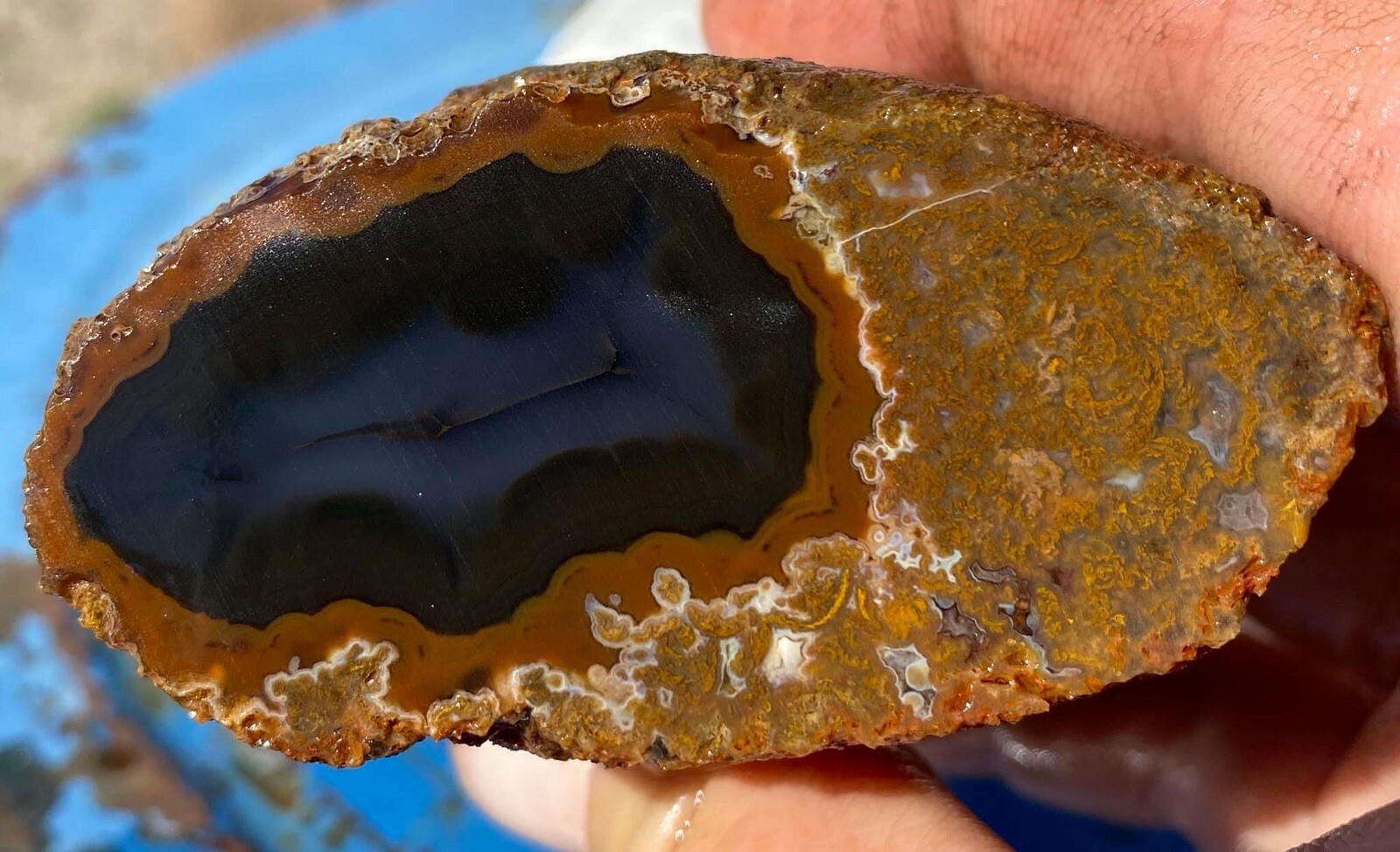 Colorful Agates From o6 Kokernot West Texas Ranch: Agate Rough Lapidary Rock