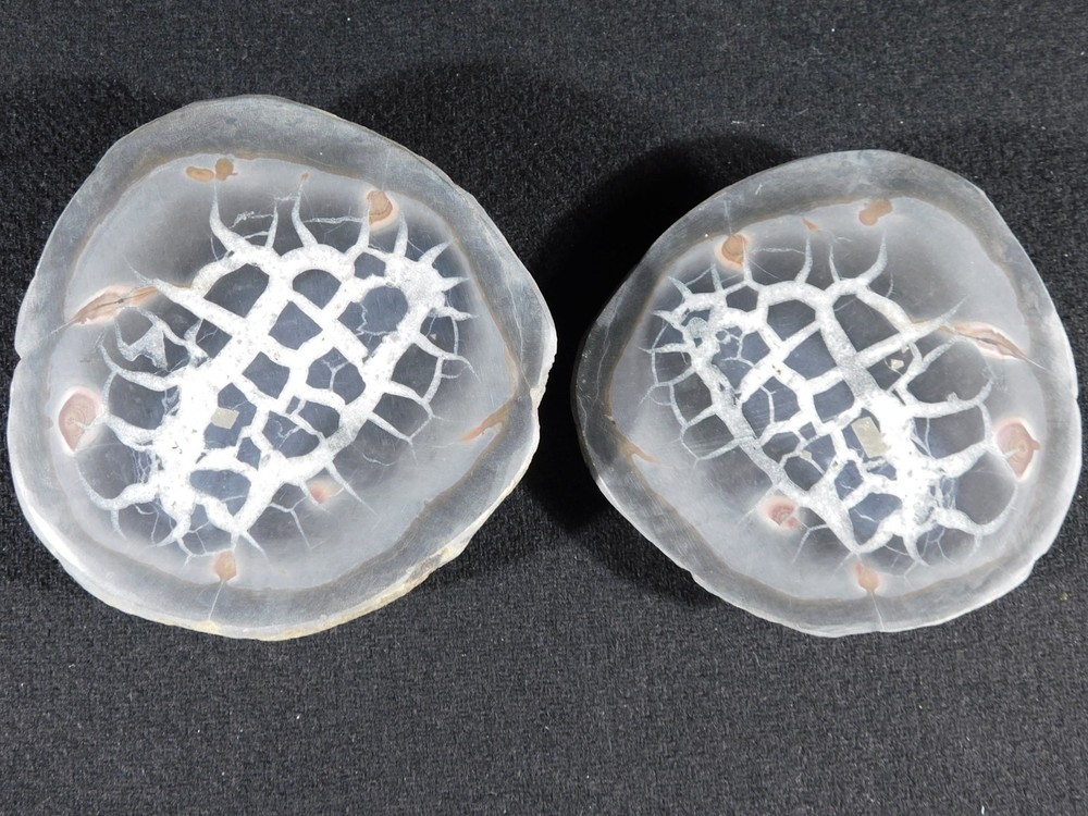 Neat! Lighting Like Pattern! Split and Polished SEPTARIAN Nodule Morocco 368gr