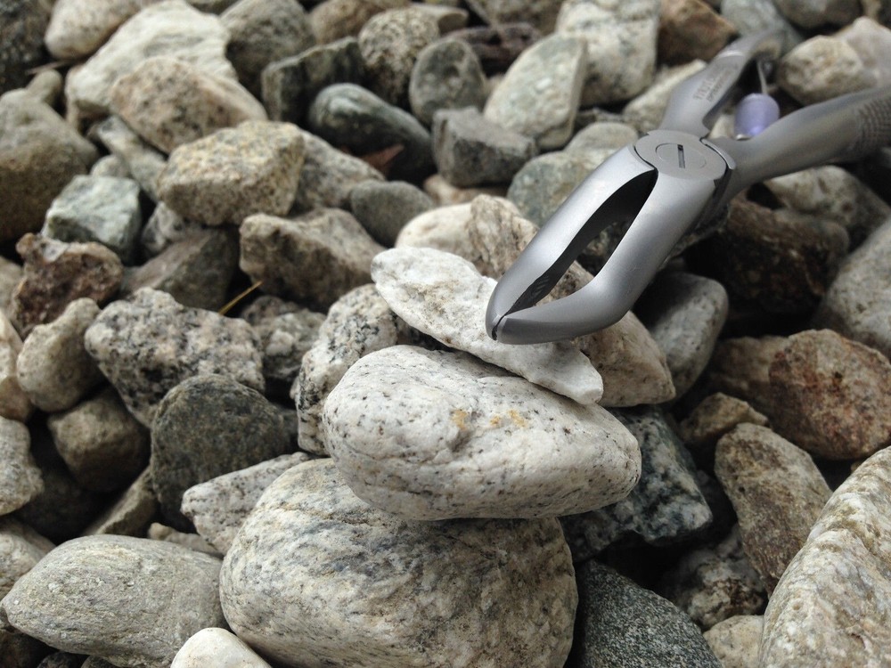 Children's Forceps Spring Upper Roots Fig 4. #1181