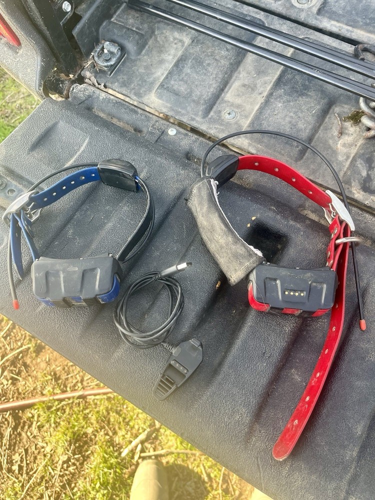 Garmin DC50 GPS Remote Training System, 2 Collars Blue Red with Charger