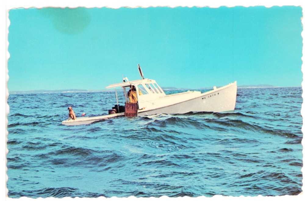 LOBSTERING IN MAINE - PC3288