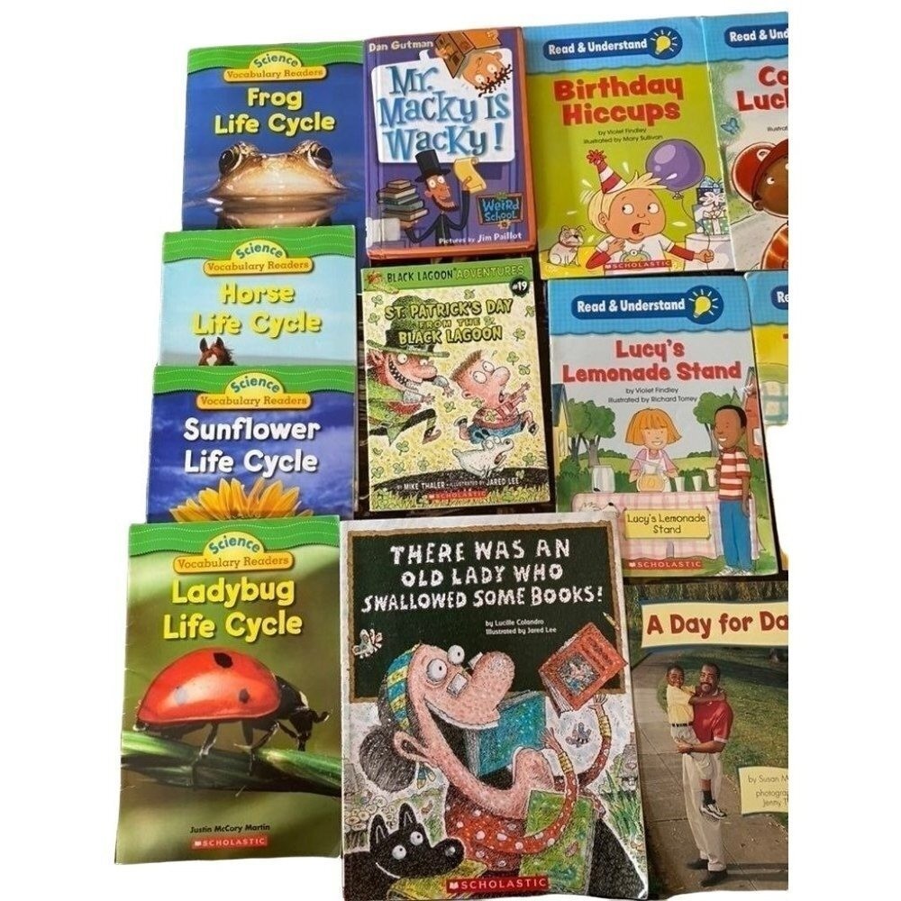 Scholastic Book Series bundle of 16 books first/second grade elementary reading