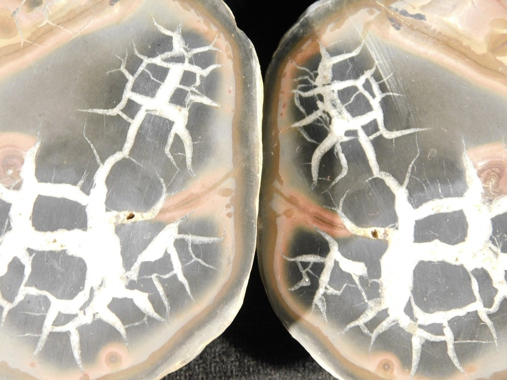 Neat Lighting Like Pattern! Split and Polished SEPTARIAN Nodule Morocco 253gr