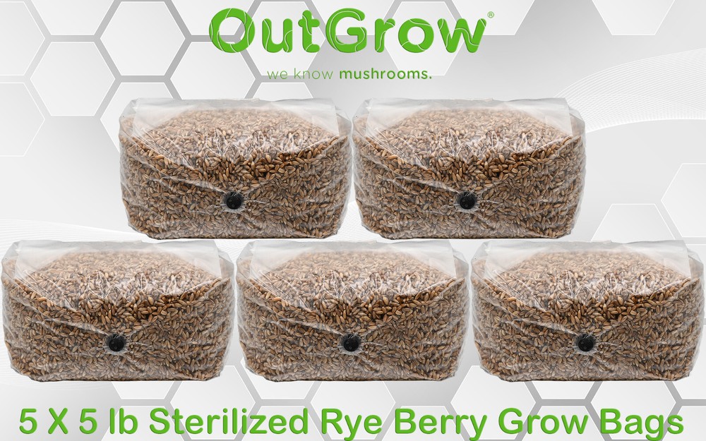 Sterilized Rye Berry Grow Bag (25lbs)