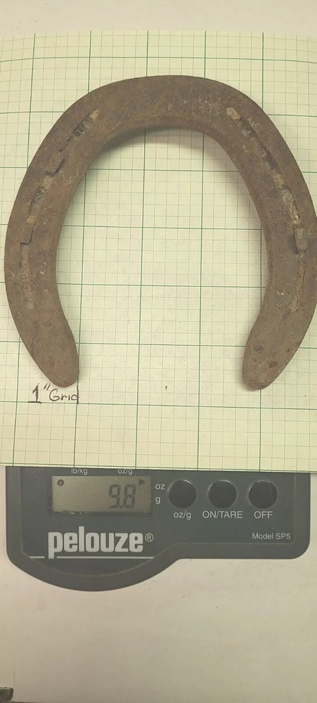 Iron Horseshoe from Idaho