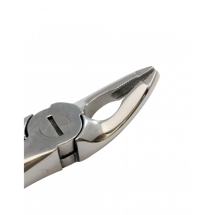 Curved Small Forceps 7″