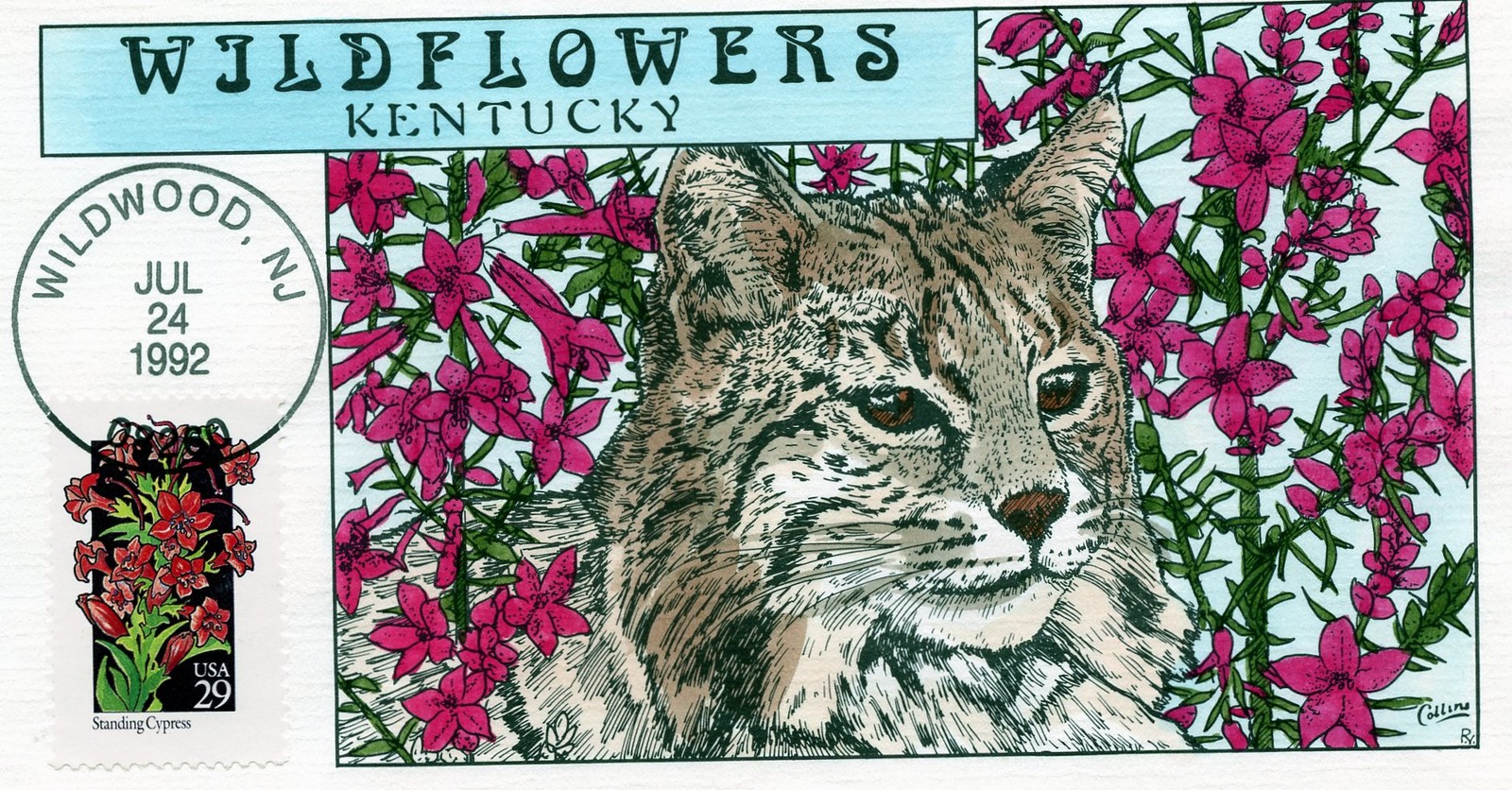 WWLF COLLINS FDC HAND PAINTED  STATE WILDFLOWERS  2695   KENTUCKY